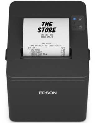 EPSON POS PRINTER TM-T20IV (012A0) C31CL47102A0